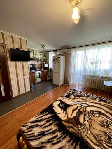 1-кімнатна квартира за адресою вул. Виноградна (площа 22 м²) - фото 11 1-кімнатна квартира за адресою вул. Виноградна (площа 22 м²) - Atlanta.ua - фото 11