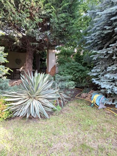 Будинок за адресою вул. Новоберегова (площа 245 м²) - фото 38 Будинок за адресою вул. Новоберегова (площа 245 м²) - Atlanta.ua - фото 38