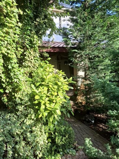 Будинок за адресою вул. Новоберегова (площа 245 м²) - фото 43 Будинок за адресою вул. Новоберегова (площа 245 м²) - Atlanta.ua - фото 43