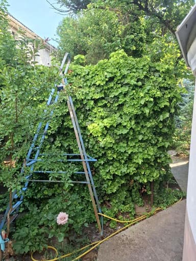 Будинок за адресою вул. Новоберегова (площа 245 м²) - фото 45 Будинок за адресою вул. Новоберегова (площа 245 м²) - Atlanta.ua - фото 45