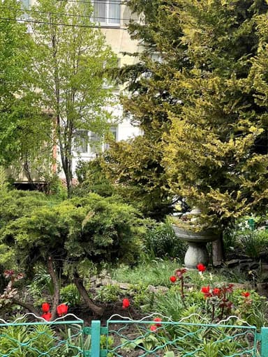 2-кімнатна квартира за адресою вул. Виноградна (площа 51,5 м²) - фото 32 2-кімнатна квартира за адресою вул. Виноградна (площа 51,5 м²) - Atlanta.ua - фото 32