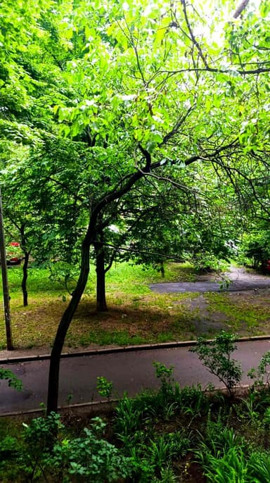 3-комнатная квартира по адресу Люстдорфская дор. (площадь 58 м²) - фото 25 3-комнатная квартира по адресу Люстдорфская дор. (площадь 58 м²) - Atlanta.ua - фото 25