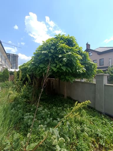 Будинок за адресою вул. Дворянська (площа 143 м²) - фото 37 Будинок за адресою вул. Дворянська (площа 143 м²) - Atlanta.ua - фото 37