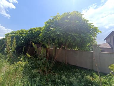 Будинок за адресою вул. Дворянська (площа 143 м²) - фото 66 Будинок за адресою вул. Дворянська (площа 143 м²) - Atlanta.ua - фото 66