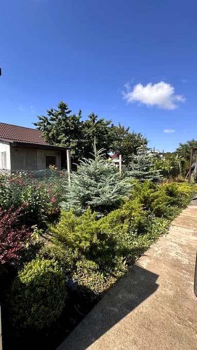 Будинок за адресою вул. Центральна (площа 110 м²) - фото 19 Будинок за адресою вул. Центральна (площа 110 м²) - Atlanta.ua - фото 19