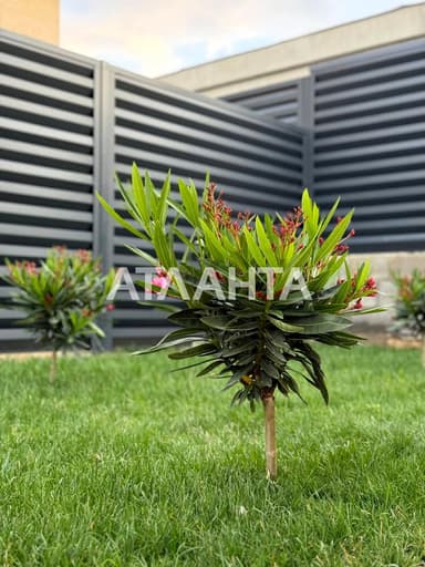 Дом по адресу (площадь 135 м²) - imageAlt 55 Дом по адресу (площадь 135 м²) - Atlanta.ua - imageAlt 55