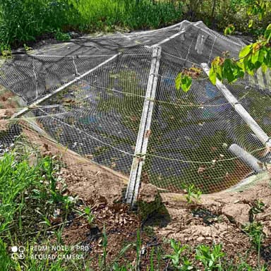 Дом по адресу ул. Ильфа и Петрова (площадь 110 м²) - imageAlt 36 Дом по адресу ул. Ильфа и Петрова (площадь 110 м²) - Atlanta.ua - imageAlt 36