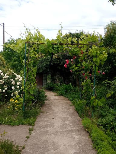 Будинок за адресою вул. Житомирська (площа 62 м²) - фото 14 Будинок за адресою вул. Житомирська (площа 62 м²) - Atlanta.ua - фото 14