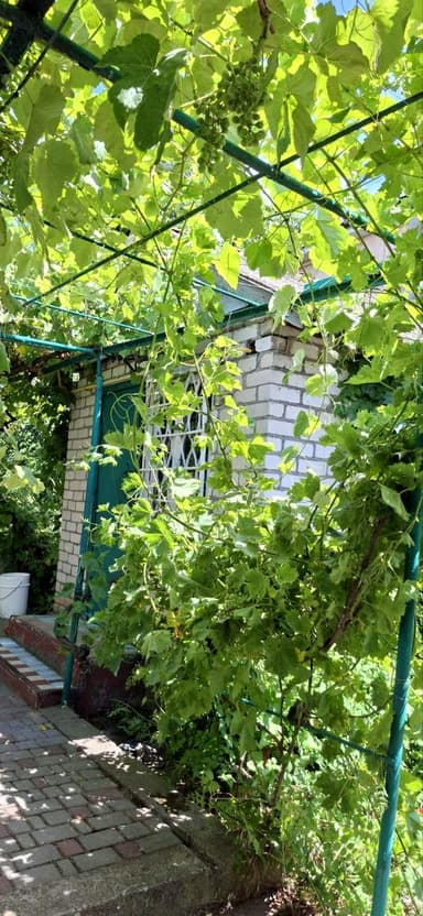 Дом по адресу ул. Зеленая Балка (площадь 60 м²) - imageAlt 5 Дом по адресу ул. Зеленая Балка (площадь 60 м²) - Atlanta.ua - imageAlt 5