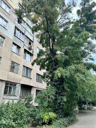 1-кімнатна квартира за адресою (площа 34,7 м²) - фото 38 1-кімнатна квартира за адресою (площа 34,7 м²) - Atlanta.ua - фото 38