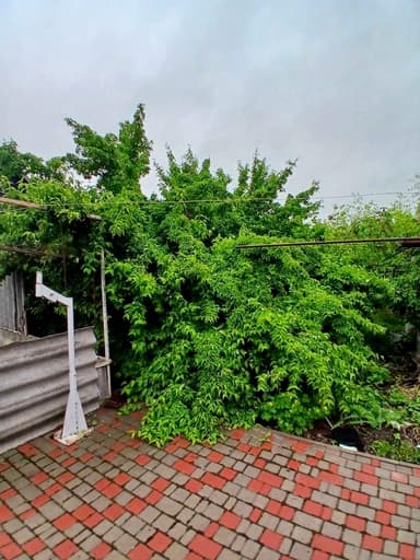 Дом по адресу Маякский 4-й пер. (площадь 200 м²) - фото 22 Дом по адресу Маякский 4-й пер. (площадь 200 м²) - Atlanta.ua - фото 22