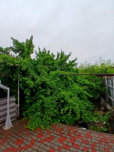 Дом по адресу Маякский 4-й пер. (площадь 200 м²) - фото 26 Дом по адресу Маякский 4-й пер. (площадь 200 м²) - Atlanta.ua - фото 26