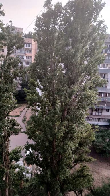 2-кімнатна квартира за адресою Дніпропетр. Дор. (площа 50 м²) - фото 18 2-кімнатна квартира за адресою Дніпропетр. Дор. (площа 50 м²) - Atlanta.ua - фото 18