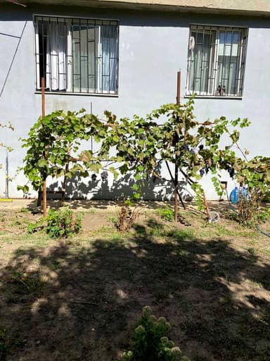 3-комнатная квартира по адресу ул. Радостная (площадь 82 м²) - imageAlt 44 3-комнатная квартира по адресу ул. Радостная (площадь 82 м²) - Atlanta.ua - imageAlt 44