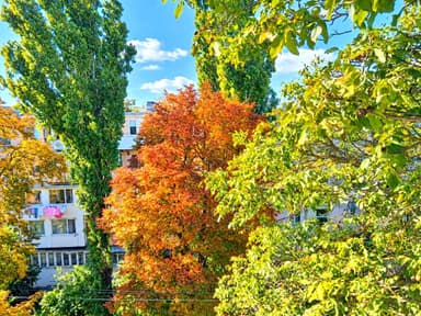 2-кімнатна квартира за адресою Місячний пров. (площа 40 м²) - фото 13 2-кімнатна квартира за адресою Місячний пров. (площа 40 м²) - Atlanta.ua - фото 13