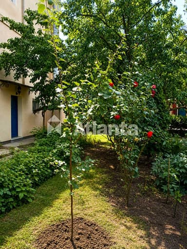 Дом по адресу ул. Одесская (площадь 263 м²) - imageAlt 135 Дом по адресу ул. Одесская (площадь 263 м²) - Atlanta.ua - imageAlt 135