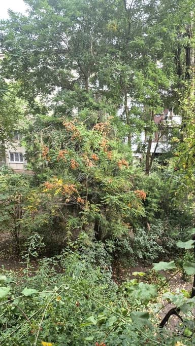 2-комнатная квартира по адресу Вишневского ген. Пер. (площадь 43,9 м²) - imageAlt 28 2-комнатная квартира по адресу Вишневского ген. Пер. (площадь 43,9 м²) - Atlanta.ua - imageAlt 28