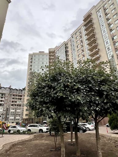 3-кімнатна квартира за адресою вул. Дрезденська (площа 66 м²) - фото 48 3-кімнатна квартира за адресою вул. Дрезденська (площа 66 м²) - Atlanta.ua - фото 48
