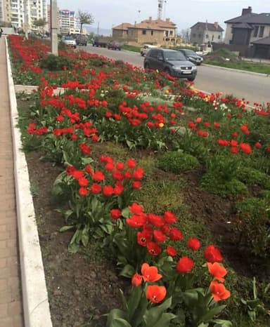3-кімнатна квартира за адресою вул. Парусна (площа 131,3 м²) - фото 58 3-кімнатна квартира за адресою вул. Парусна (площа 131,3 м²) - Atlanta.ua - фото 58