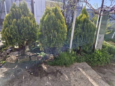 Дом по адресу (площадь 58 м²) - imageAlt 15 Дом по адресу (площадь 58 м²) - Atlanta.ua - imageAlt 15