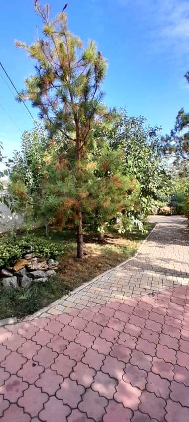 Дом по адресу (площадь 190 м²) - imageAlt 52 Дом по адресу (площадь 190 м²) - Atlanta.ua - imageAlt 52