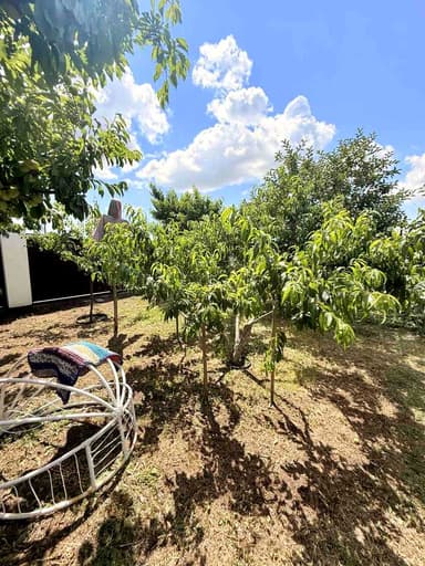Дом по адресу ул. Спортивная (площадь 260 м²) - imageAlt 155 Дом по адресу ул. Спортивная (площадь 260 м²) - Atlanta.ua - imageAlt 155