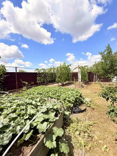 Дом по адресу ул. Спортивная (площадь 260 м²) - imageAlt 164 Дом по адресу ул. Спортивная (площадь 260 м²) - Atlanta.ua - imageAlt 164