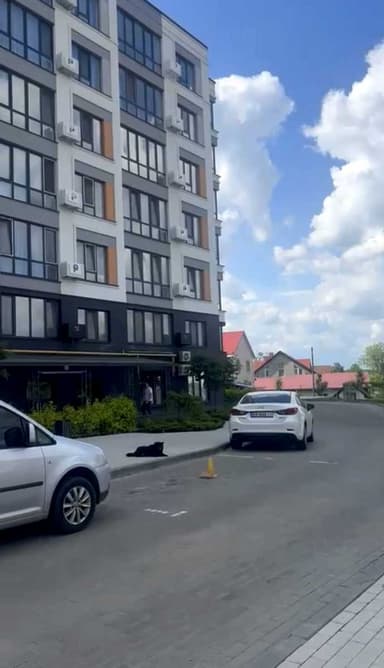 3-комнатная квартира по адресу Петрусенко пер. (площадь 83 м²) - фото 35 3-комнатная квартира по адресу Петрусенко пер. (площадь 83 м²) - Atlanta.ua - фото 35