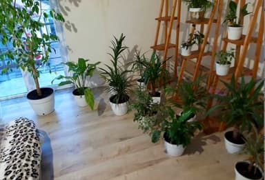Дом по адресу ул. Экономичная (площадь 122 м²) - imageAlt 21 Дом по адресу ул. Экономичная (площадь 122 м²) - Atlanta.ua - imageAlt 21