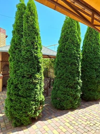 Дом по адресу (площадь 195 м²) - imageAlt 79 Дом по адресу (площадь 195 м²) - Atlanta.ua - imageAlt 79