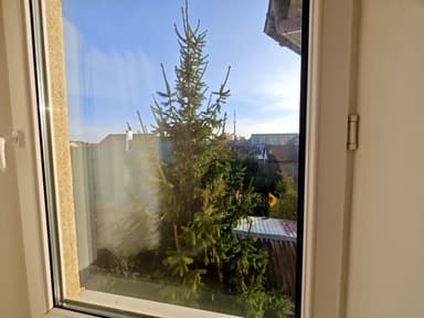 Дом по адресу Черноморский 8-й пер. (площадь 240 м²) - фото 101 Дом по адресу Черноморский 8-й пер. (площадь 240 м²) - Atlanta.ua - фото 101