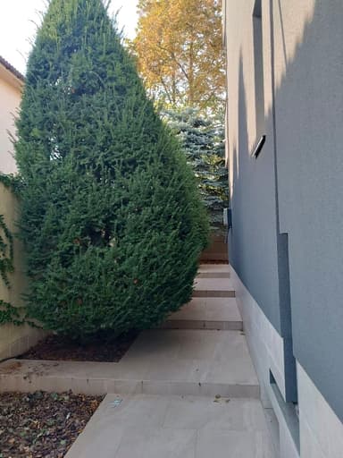 Будинок за адресою вул. Айвазовського (площа 380 м²) - фото 29 Будинок за адресою вул. Айвазовського (площа 380 м²) - Atlanta.ua - фото 29