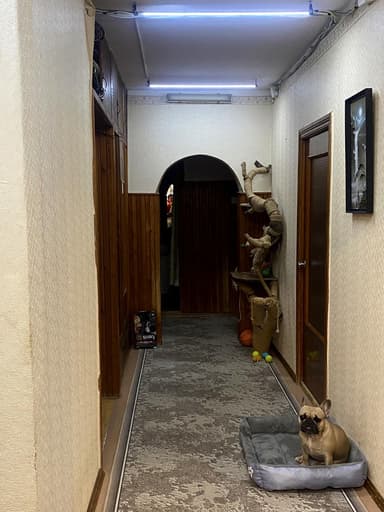 Многокомнатная квартира по адресу (площадь 86 м²) - imageAlt 42 Многокомнатная квартира по адресу (площадь 86 м²) - Atlanta.ua - imageAlt 42