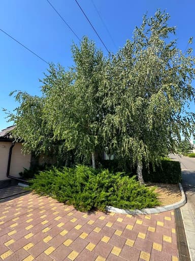 Будинок за адресою вул. Нижня (площа 187 м²) - фото 137 Будинок за адресою вул. Нижня (площа 187 м²) - Atlanta.ua - фото 137