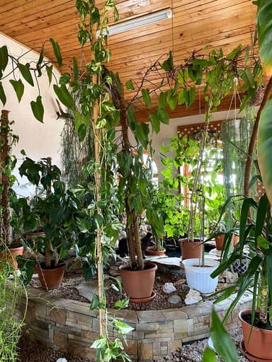 Дом по адресу ул. Вернадского академика (площадь 447 м²) - фото 93 Дом по адресу ул. Вернадского академика (площадь 447 м²) - Atlanta.ua - фото 93