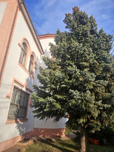 Дом по адресу Свободы пр. (площадь 480 м²) - фото 23 Дом по адресу Свободы пр. (площадь 480 м²) - Atlanta.ua - фото 23