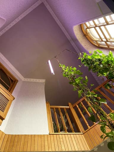 Дом по адресу ул. Вернадского академика (площадь 447 м²) - фото 84 Дом по адресу ул. Вернадского академика (площадь 447 м²) - Atlanta.ua - фото 84