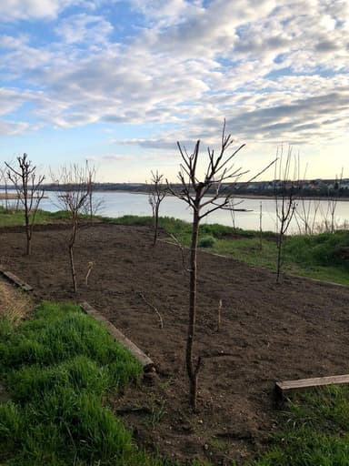 Будинок за адресою вул. Морська (площа 360 м²) - фото 42 Будинок за адресою вул. Морська (площа 360 м²) - Atlanta.ua - фото 42