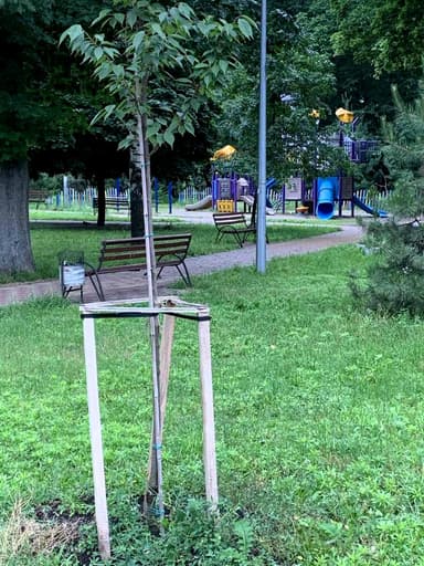 1-кімнатна квартира за адресою вул. Уманська (площа 35 м²) - фото 30 1-кімнатна квартира за адресою вул. Уманська (площа 35 м²) - Atlanta.ua - фото 30