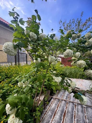 Будинок за адресою Костанди 2-й пров. (площа 40 м²) - фото 10 Будинок за адресою Костанди 2-й пров. (площа 40 м²) - Atlanta.ua - фото 10