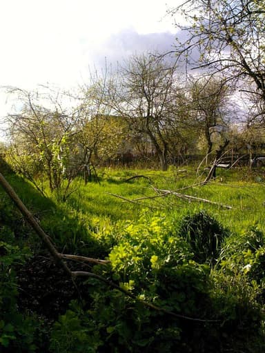 Будинок за адресою вул. Плодова (площа 57 м²) - фото 6 Будинок за адресою вул. Плодова (площа 57 м²) - Atlanta.ua - фото 6
