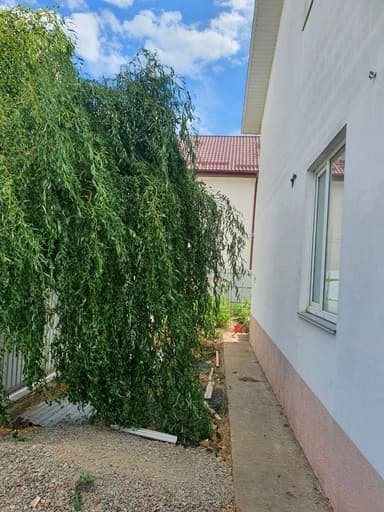 Будинок за адресою вул. Варненська (площа 126 м²) - фото 10 Будинок за адресою вул. Варненська (площа 126 м²) - Atlanta.ua - фото 10