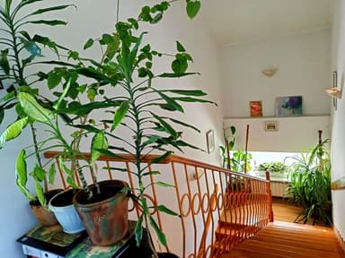 Будинок за адресою вул. Костанді (площа 185 м²) - фото 20 Будинок за адресою вул. Костанді (площа 185 м²) - Atlanta.ua - фото 20