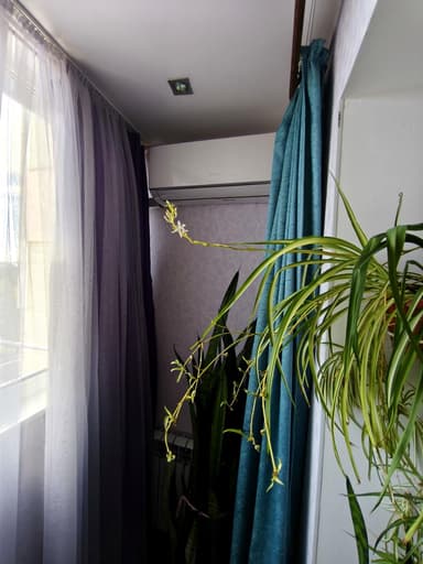 3-комнатная квартира по адресу ул. Запорожская (площадь 64 м²) - фото 25 3-комнатная квартира по адресу ул. Запорожская (площадь 64 м²) - Atlanta.ua - фото 25