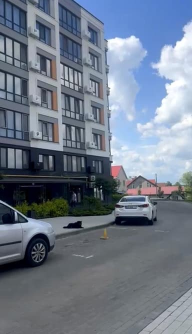 3-кімнатна квартира за адресою Петрусенко пров. (площа 83 м²) - фото 35 3-кімнатна квартира за адресою Петрусенко пров. (площа 83 м²) - Atlanta.ua - фото 35