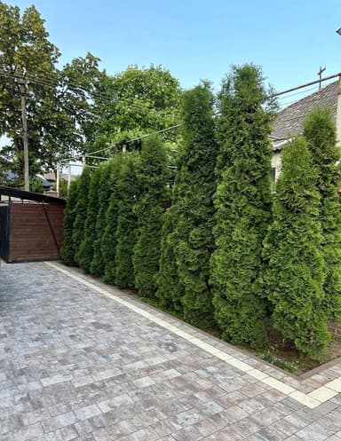 Будинок за адресою вул. Mock (площа 172 м²) - фото 32 Будинок за адресою вул. Mock (площа 172 м²) - Atlanta.ua - фото 32