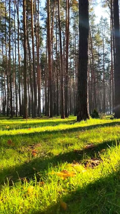 Будинок за адресою вул. Мисливська (площа 123 м²) - фото 21 Будинок за адресою вул. Мисливська (площа 123 м²) - Atlanta.ua - фото 21