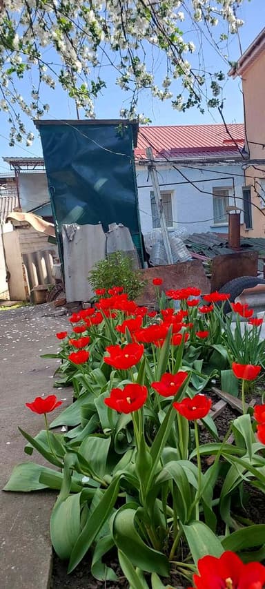 Будинок за адресою вул. Брацлавська (площа 30 м²) - фото 48 Будинок за адресою вул. Брацлавська (площа 30 м²) - Atlanta.ua - фото 48
