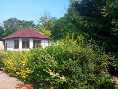 Будинок за адресою Сиротський 2-й пров. (площа 316 м²) - фото 53 Будинок за адресою Сиротський 2-й пров. (площа 316 м²) - Atlanta.ua - фото 53