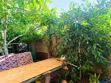 Будинок за адресою (площа 180,5 м²) - фото 48 Будинок за адресою (площа 180,5 м²) - Atlanta.ua - фото 48